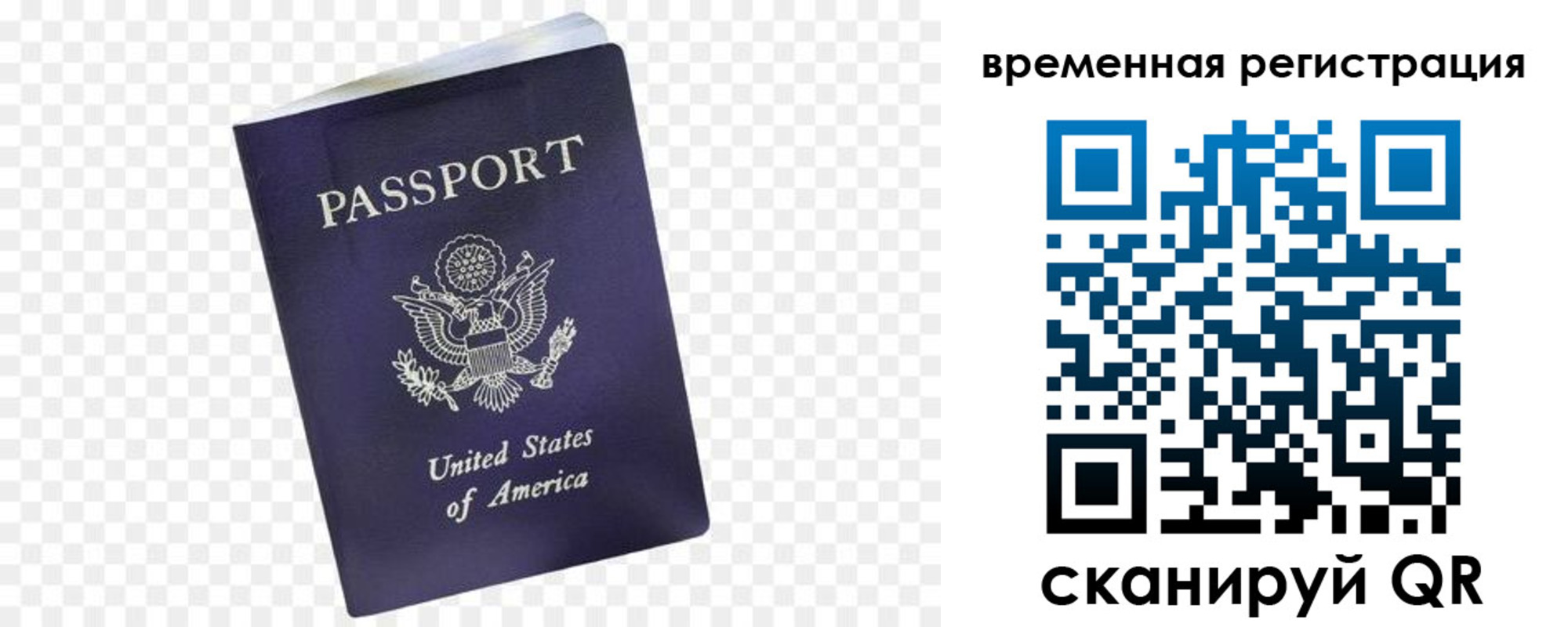 прописка в Ковдоре